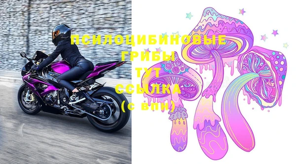 альфа пвп Няндома