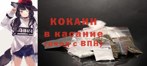 соль ск Алзамай