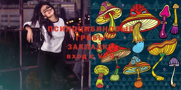 синтетический гашиш Алексеевка