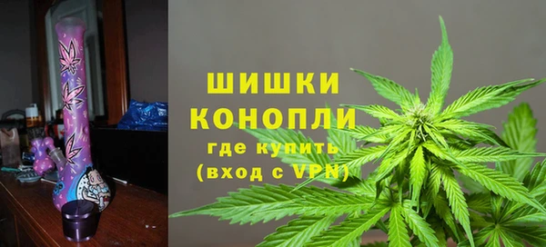 соль ск Алзамай