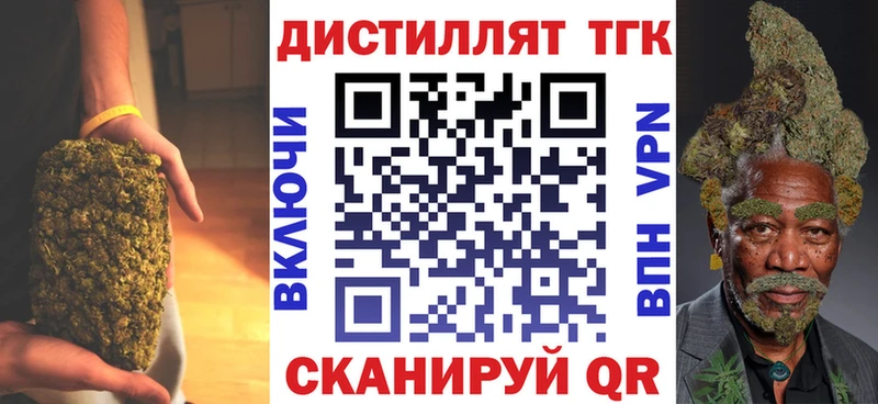 купить закладку  Снежногорск  MEGA ссылки  Дистиллят ТГК THC oil 
