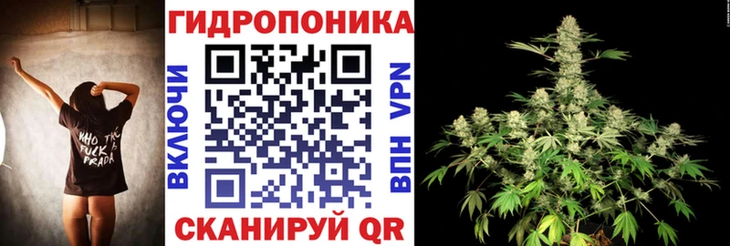 наркошоп  Снежногорск  МАРИХУАНА ГИДРОПОН 